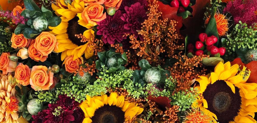 Novembrové kvetinové pokušenie