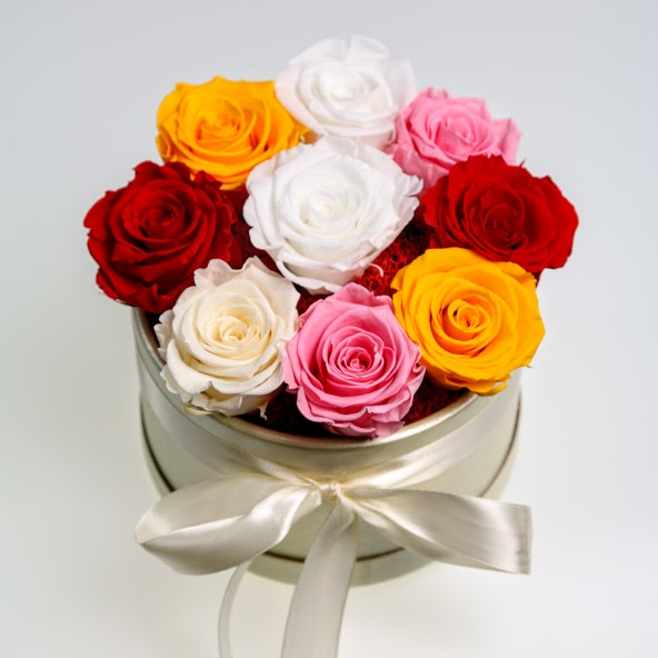 Box stabilizovaných ruží 9ks mix farieb