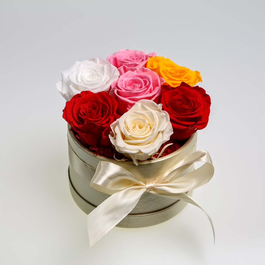Box stabilizovaných ruží 7ks mix farieb