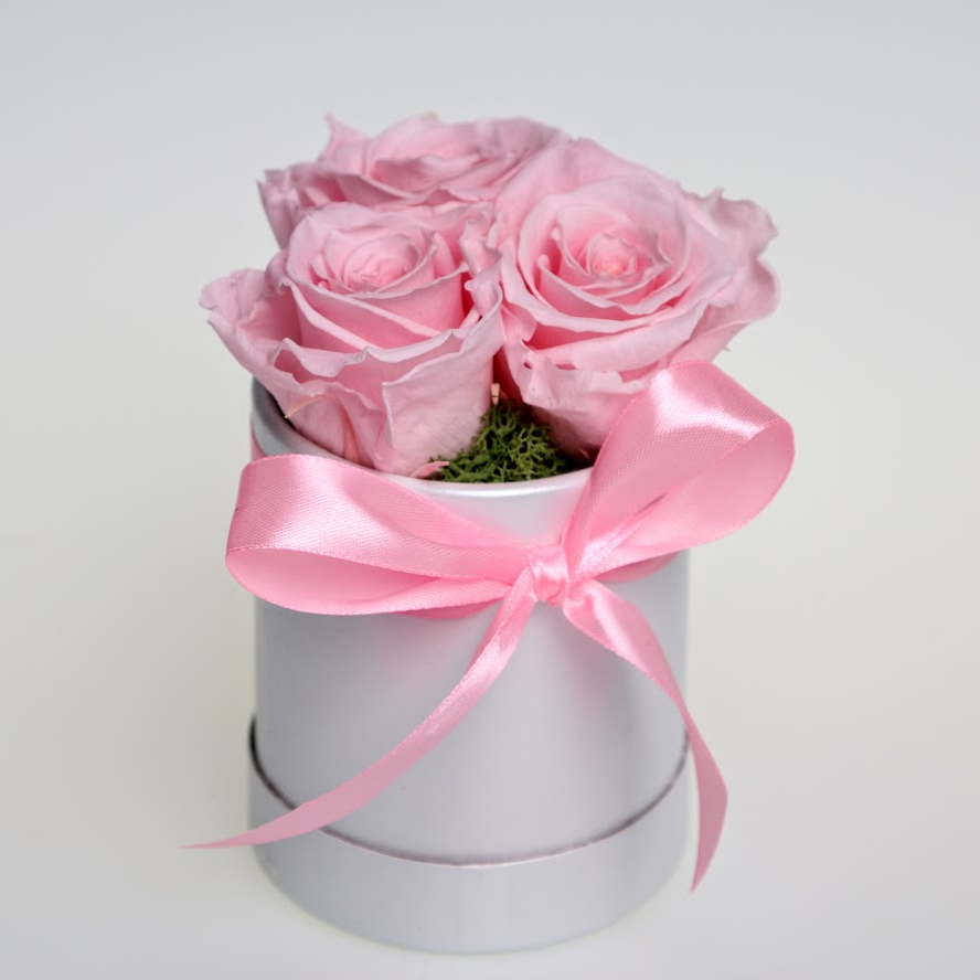 Box stabilizovaných ruží 3ks ružový