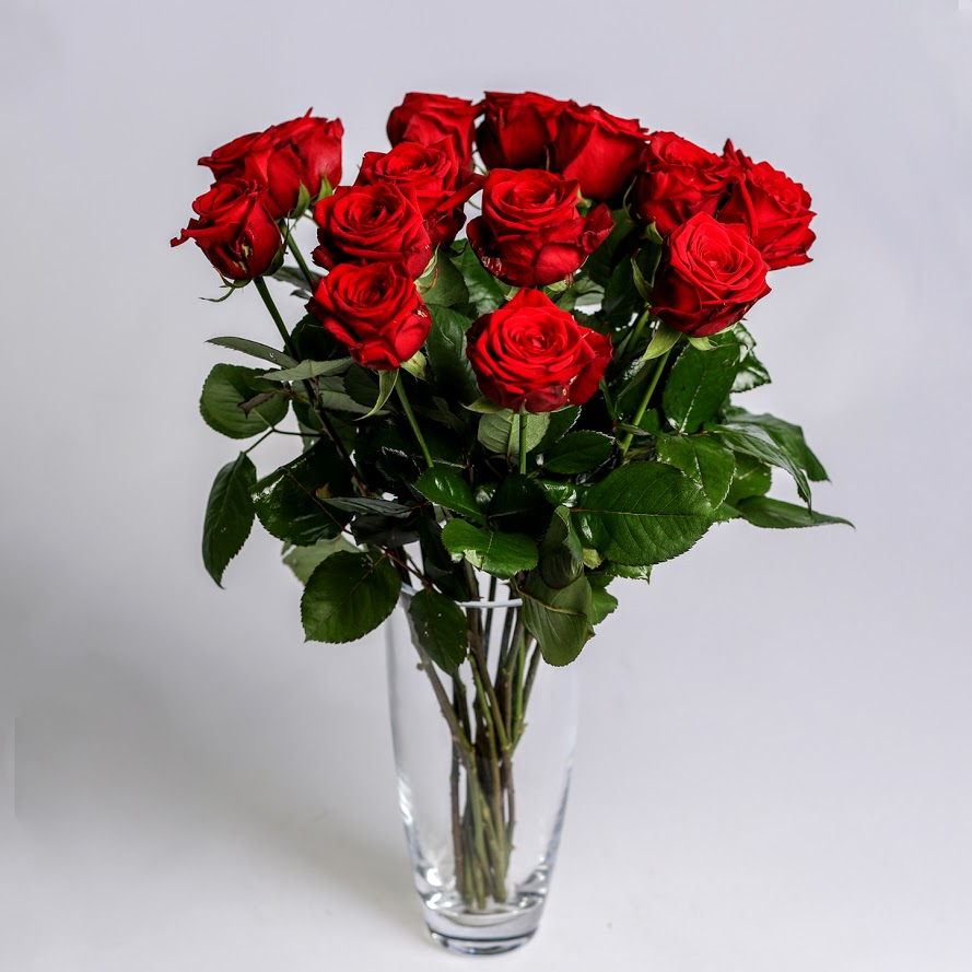 Ruža červená Standard 60cm 1ks
