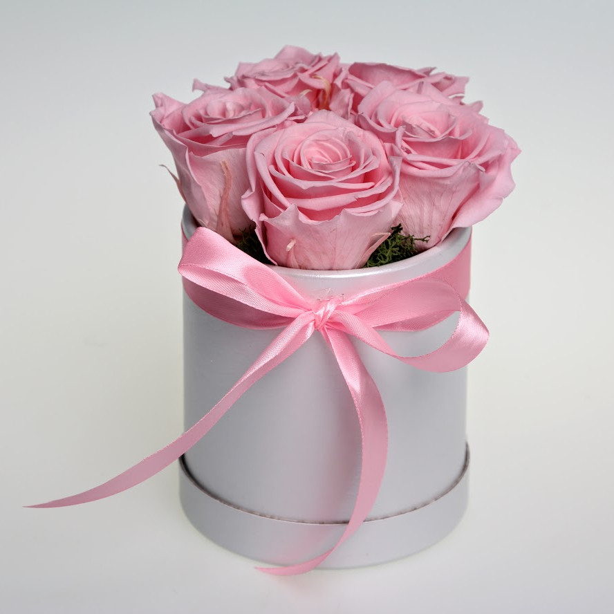 Box stabilizovaných ruží 5ks ružový
