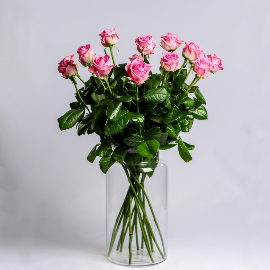 Ruža ružová Standard 60cm 1ks