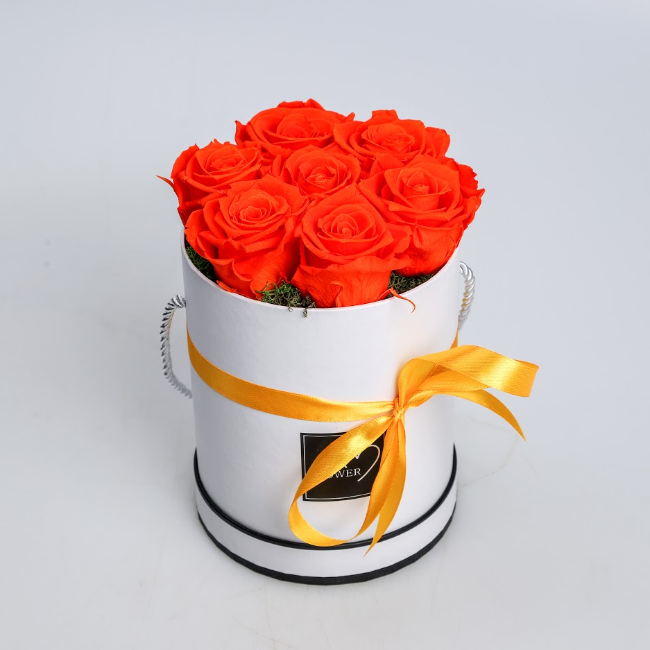 Box stabilizovaných ruží oranžový 7ks