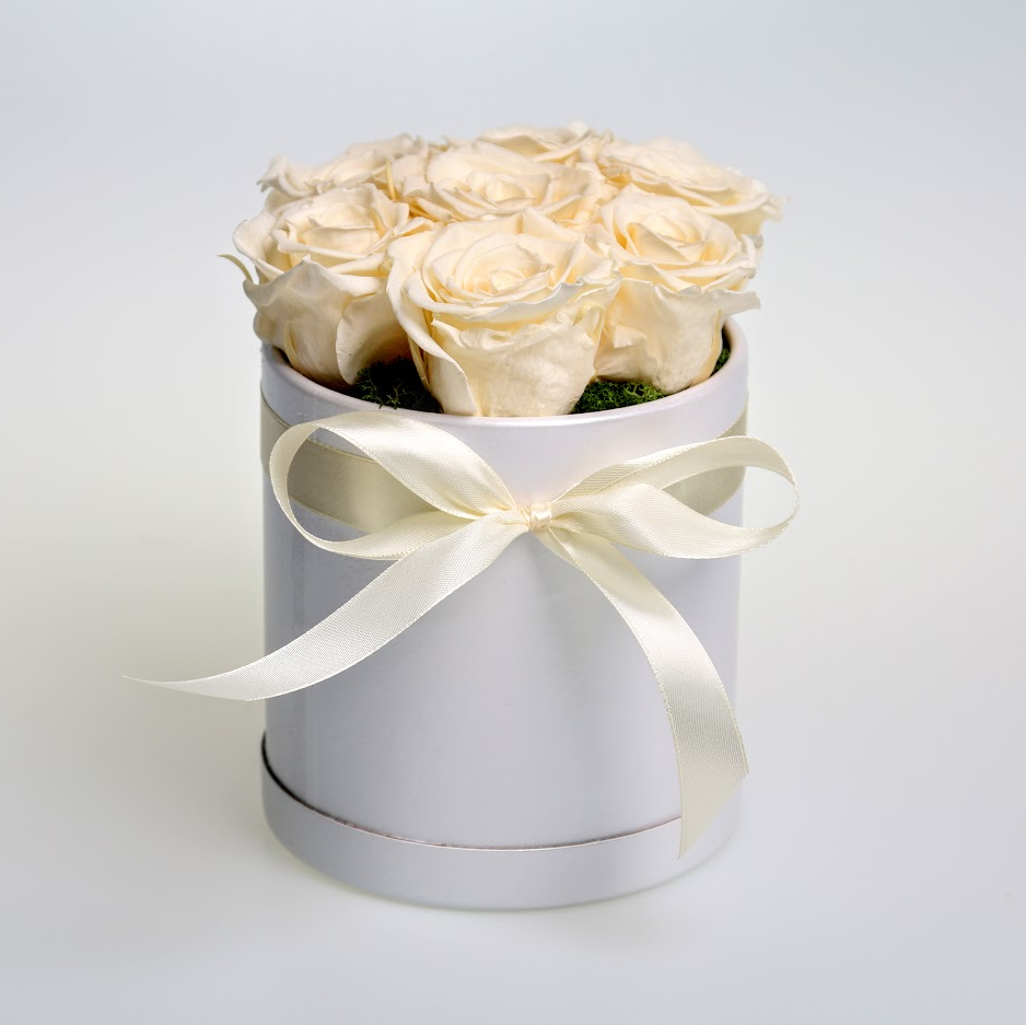 Box stabilizovaných ruží 7ks biely