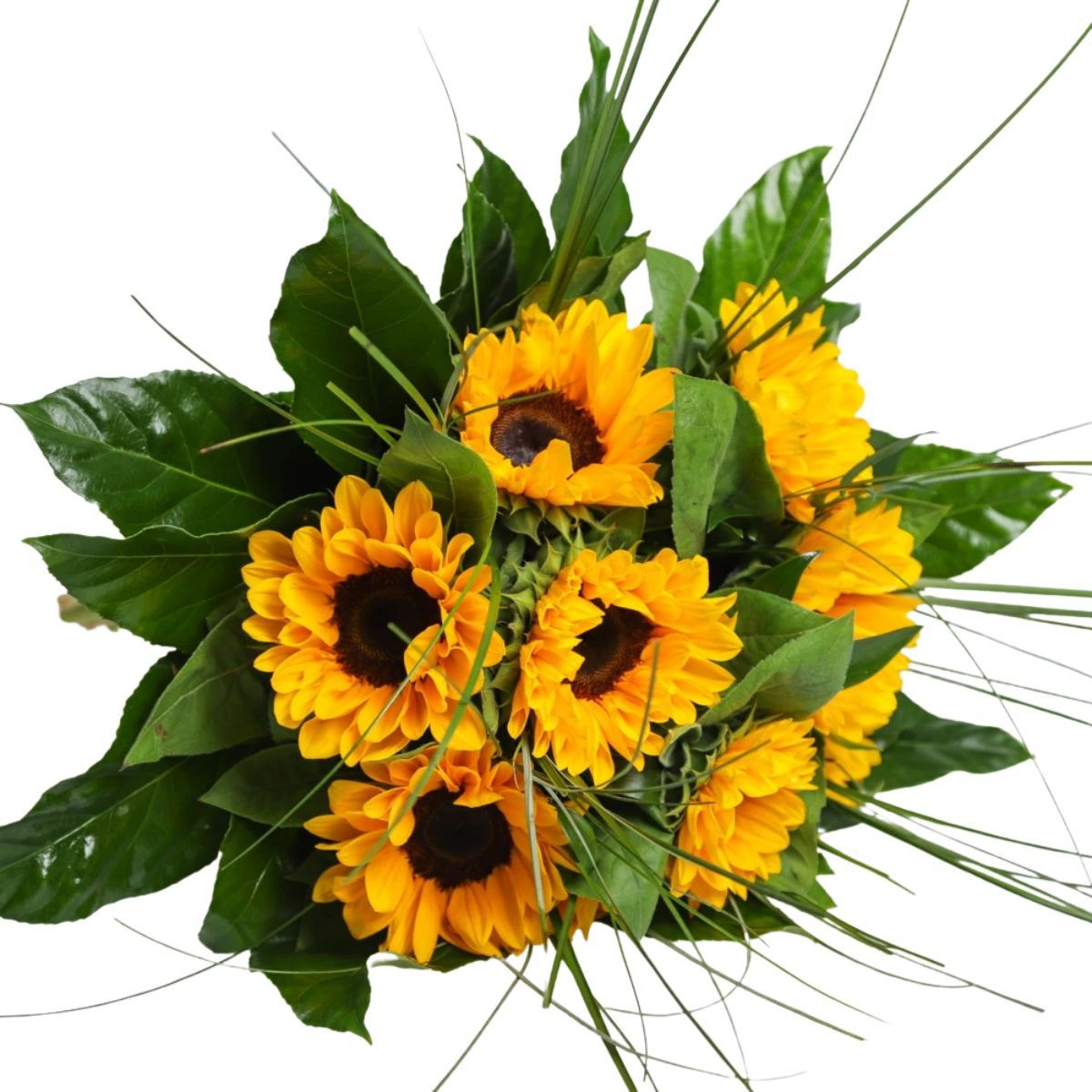 Kytica slnečníc so zeleňou