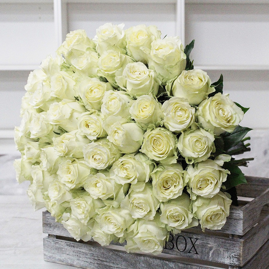 Kytica bielych ruží od 25 ks