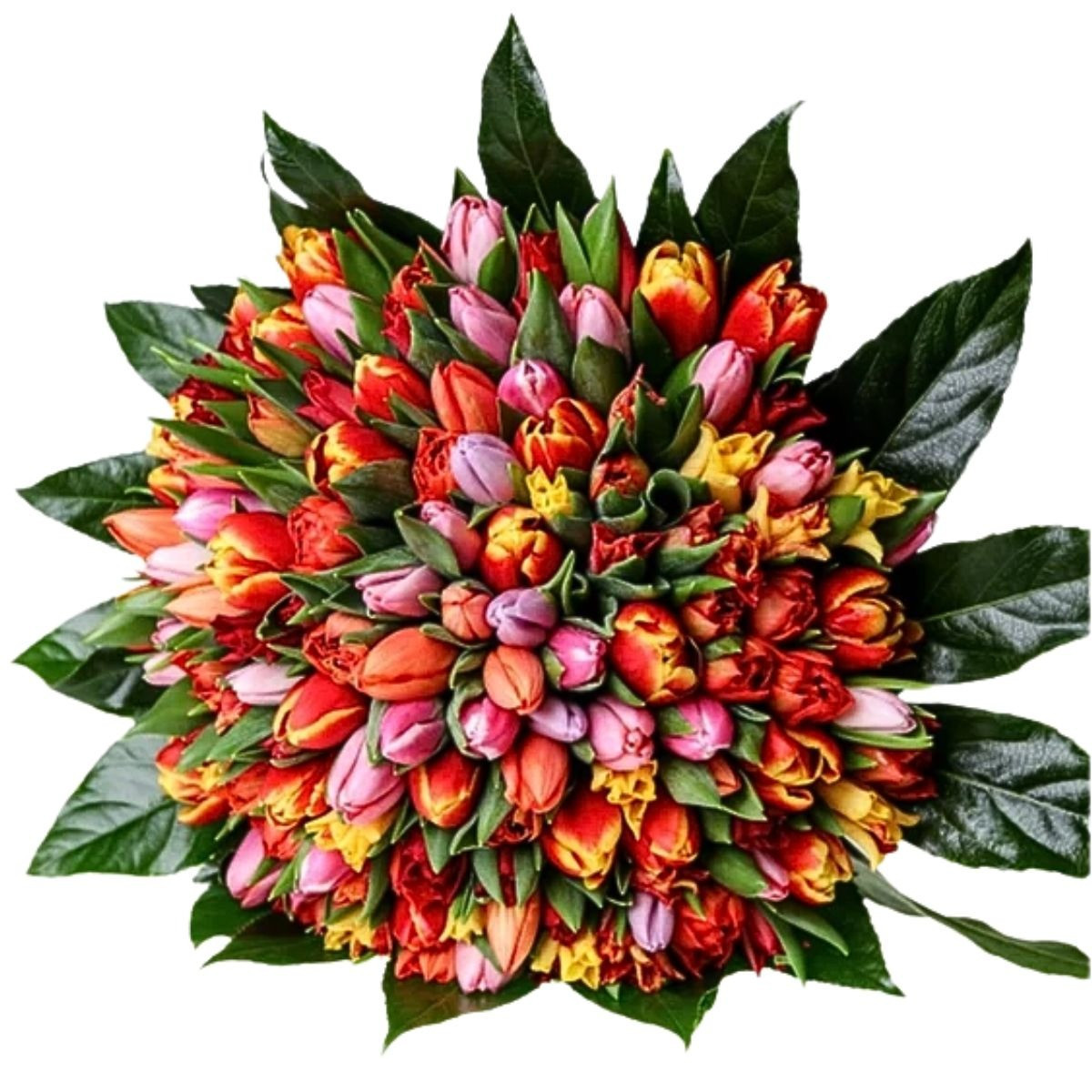 Kytica LUXUS tulipány od 50ks