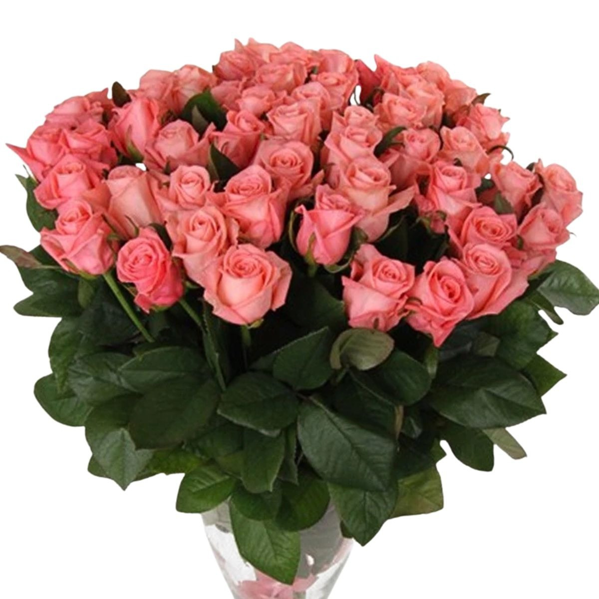 Kytica krásnych ružových ruží