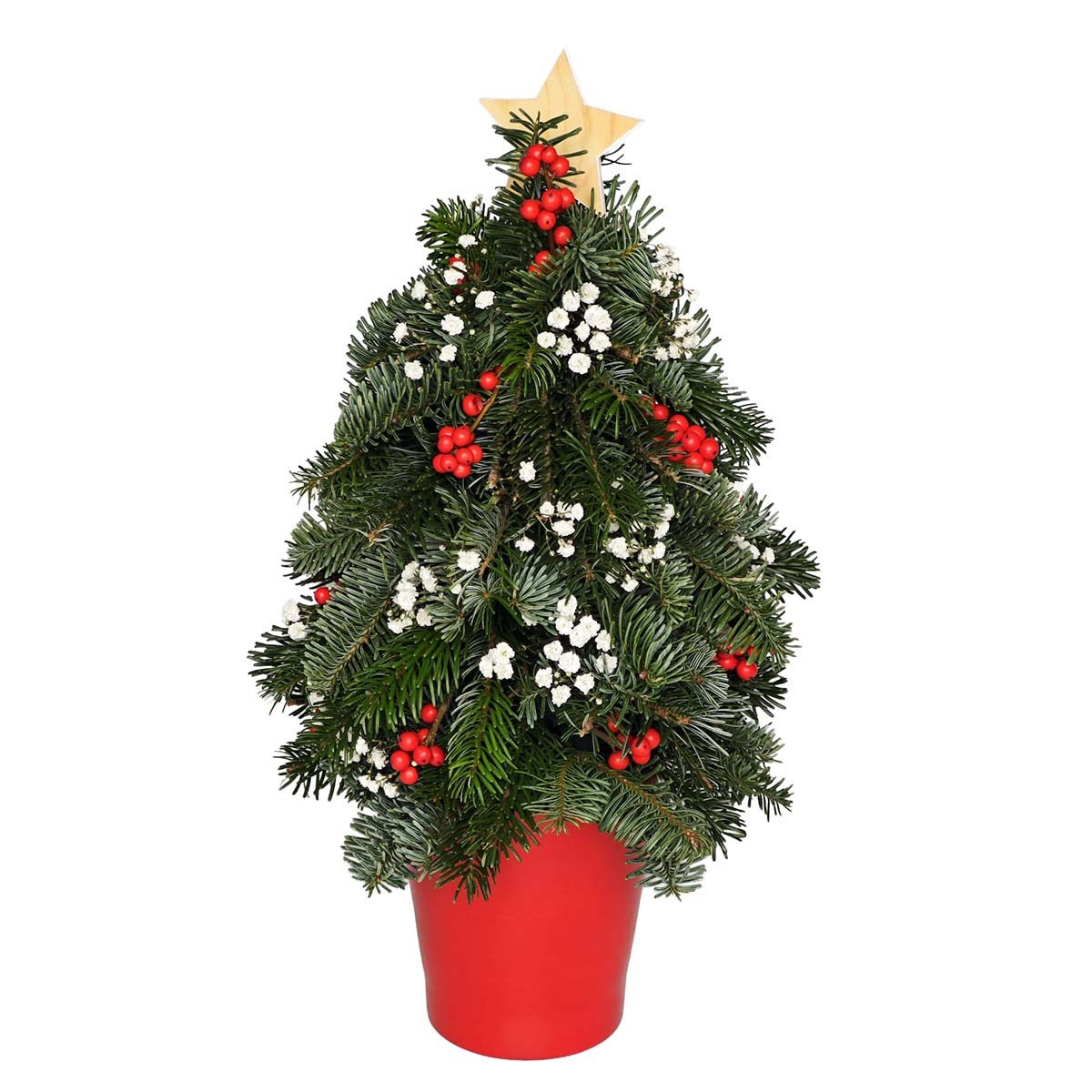 Vianočný stromček z čečiny