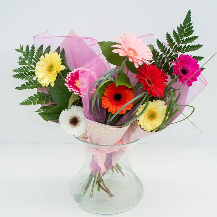 Set 3v1 Gerbera