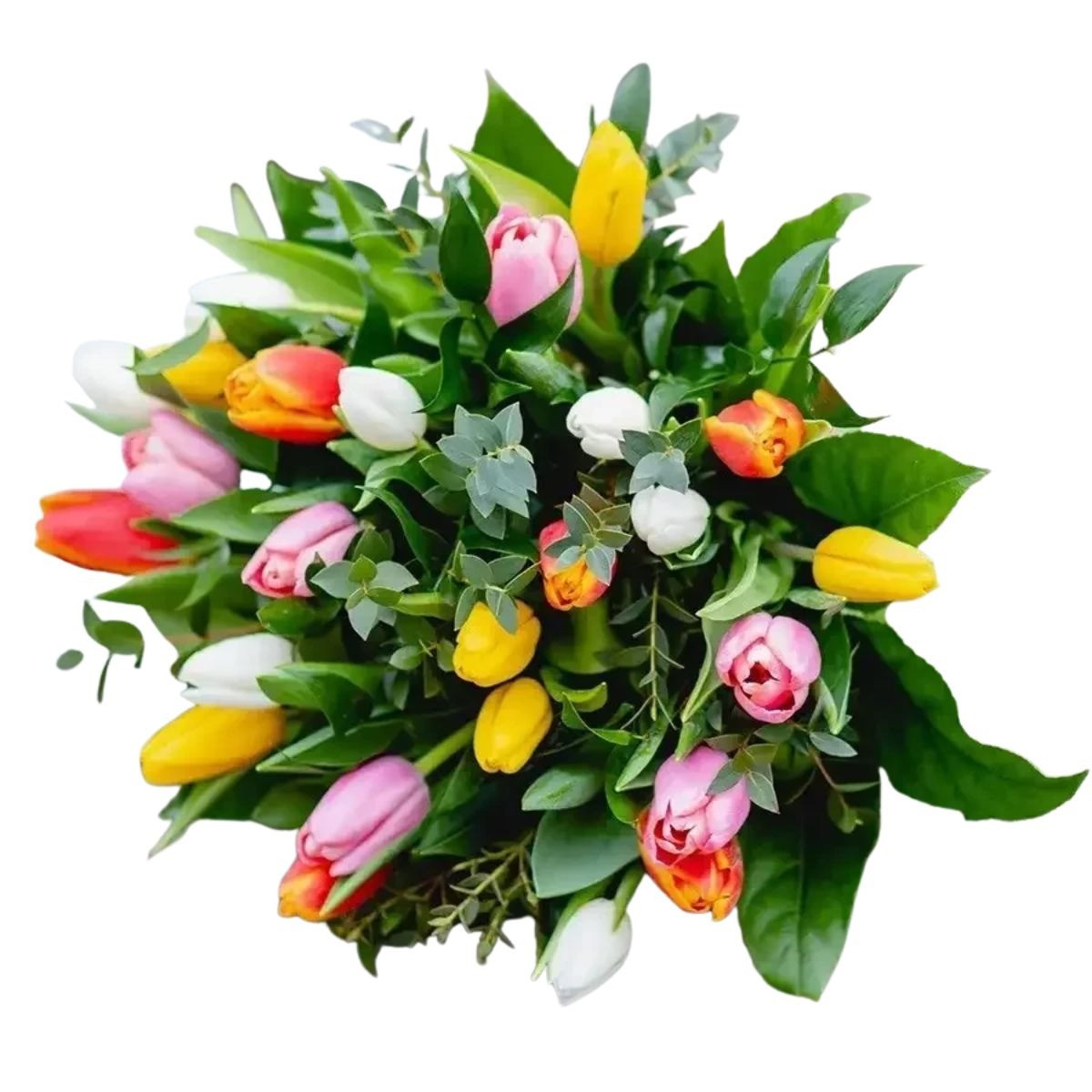 Kytica tulipánov farebný mix