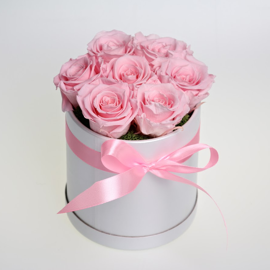 Box stabilizovaných ruží 7ks ružový