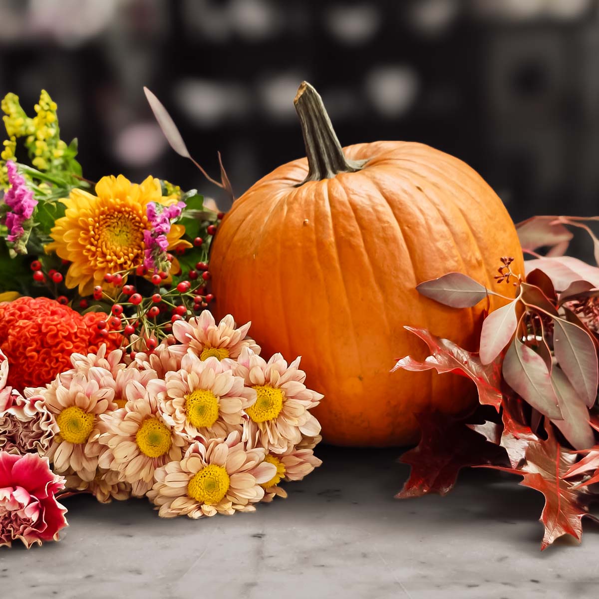 tekvica_halloween_dekorácia_kvety_pre_vas_1.jpg